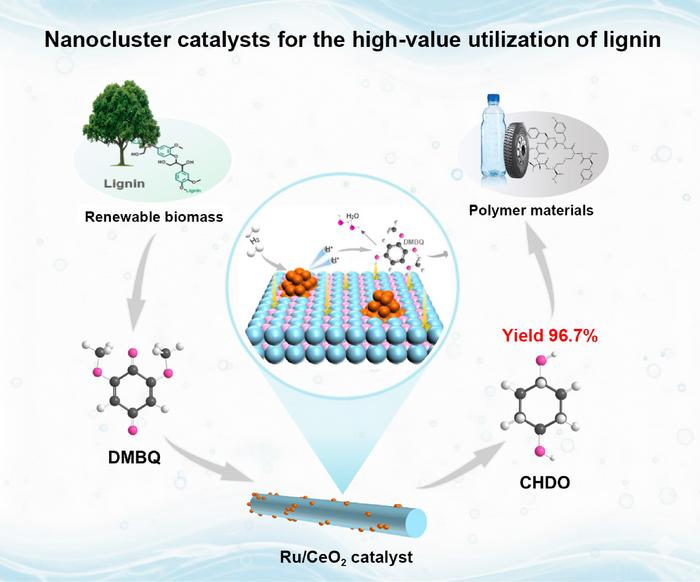 Atomic-Level Conversion of Lignin to High-Value Chemicals