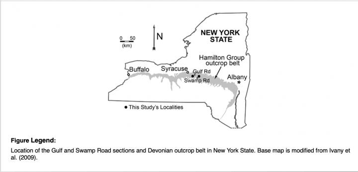 Study Location