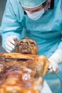 The Iceman's Gut Microbes Shed Light on Ancient Human Geography (1 of 3)