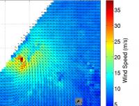 RapidScat Image of Maysak