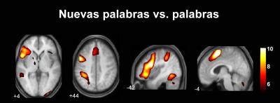 New Words vs. Words
