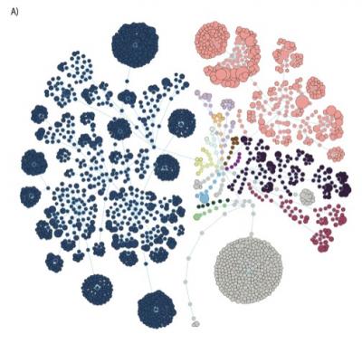 Human Gut Microbiome Composition