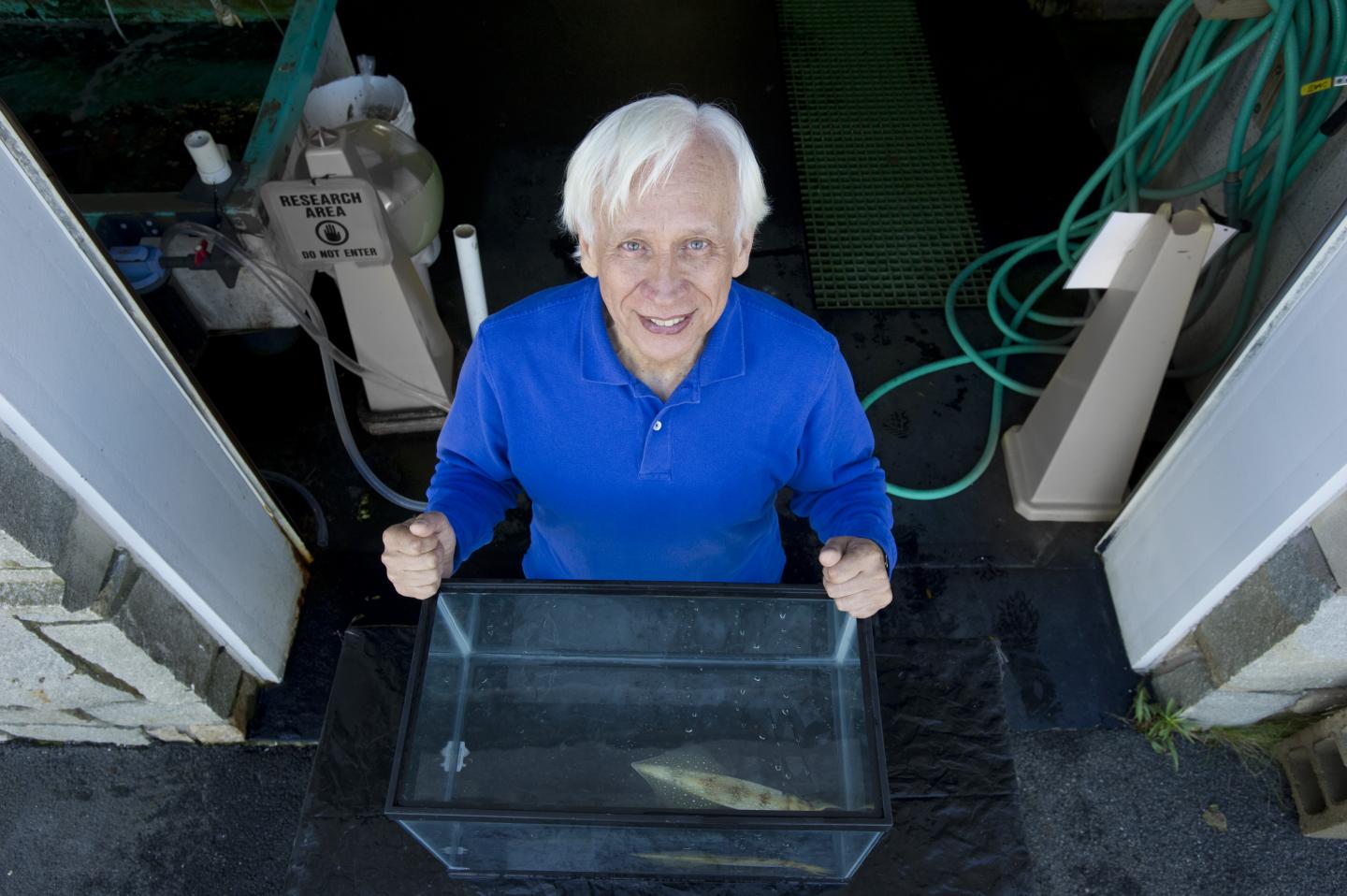 Rodolfo Llin&aacute;s at the MBL, Woods Hole