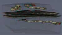 Micro-CT Based 3D Volume Rendering with a Stereoscopic 3D Effect