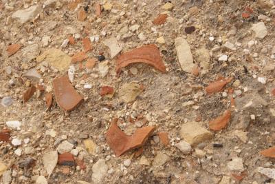 Excavation at Elusa Trash Mound