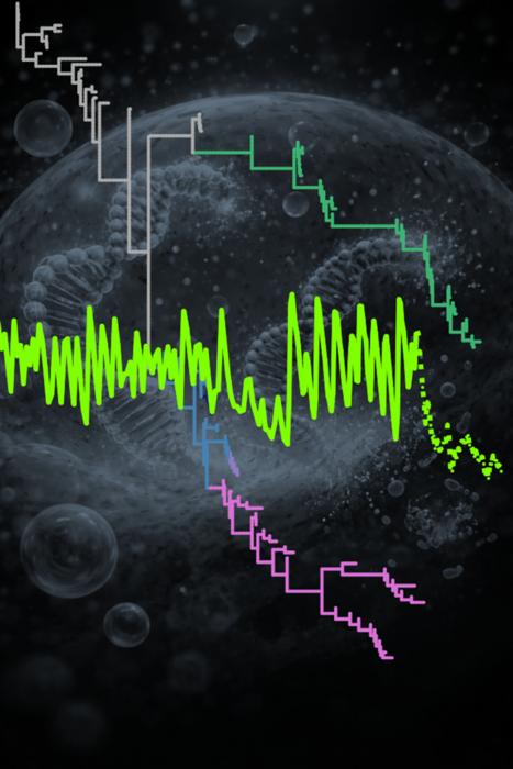 Self-replicating RNA evolved toward extinction