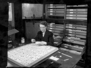 Historic egg collections