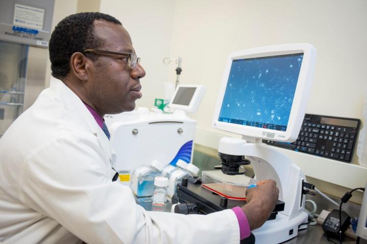 Abba Zubair, Mayo Clinic