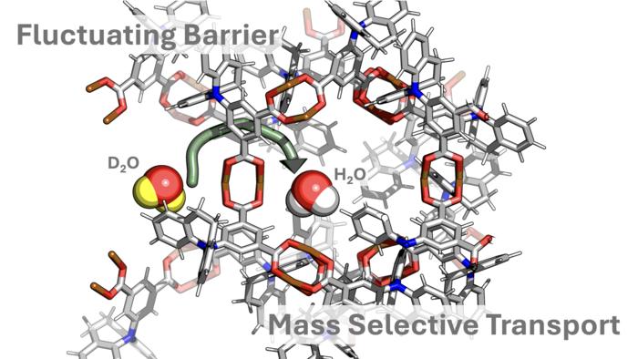 Dynamic ‘breathing’ in nanopore structures can maximize efficiency of molecule separation and diffusion