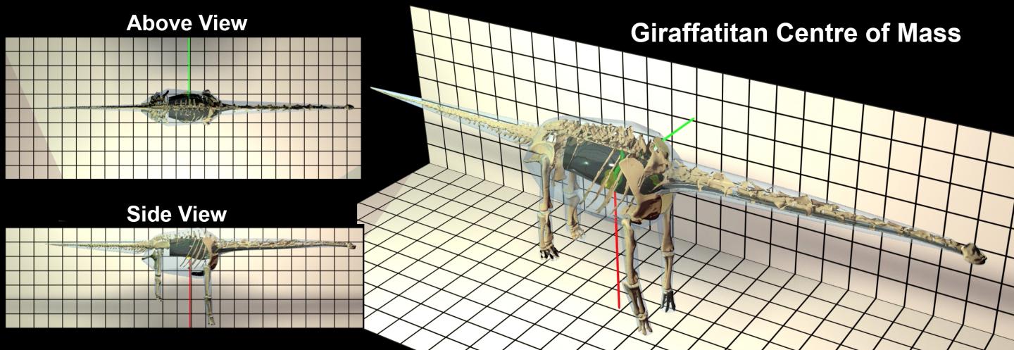 Giraffatitan Model