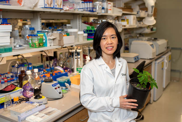 Dr. Chunliu Zhuo