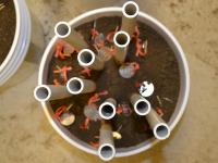 tubes in buckets