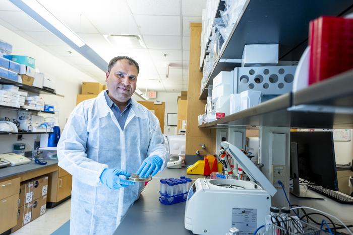 Georgia State Research Advances Understanding of Tick-Borne Powassan Virus Georgia State Research Advances Understanding of Tick-Borne Powassan Virus