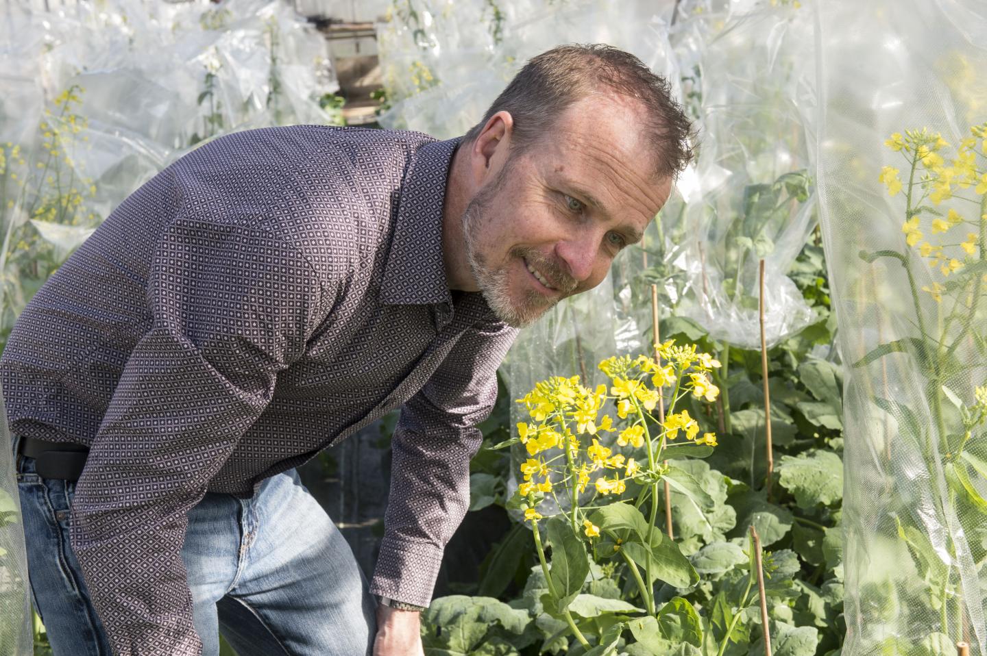 Professor Lars Østergaard, John Innes Centre