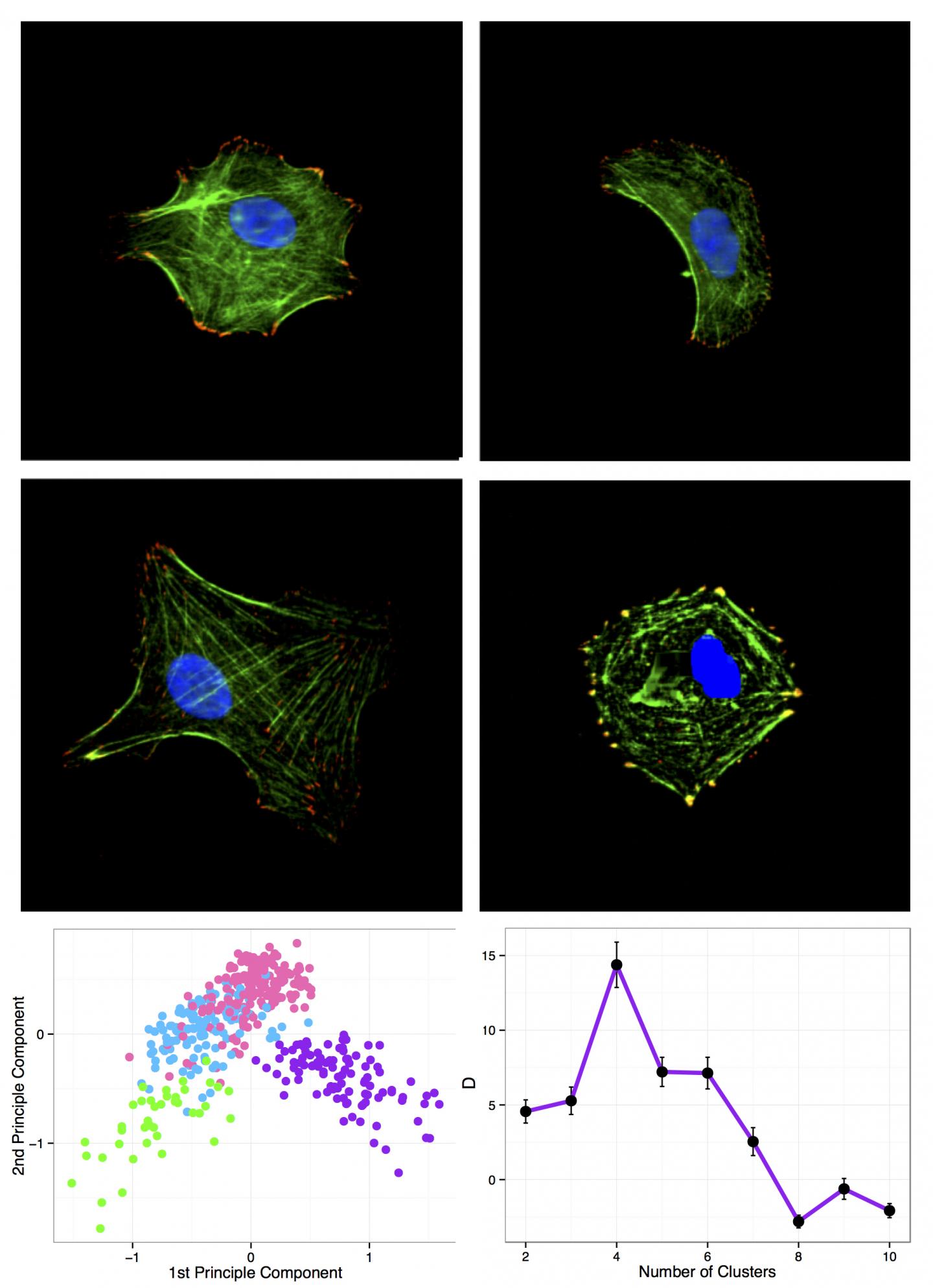 Progeny Clustering