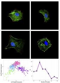 Progeny Clustering