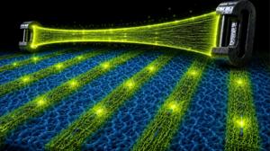Making mechanical stress visible in polymers