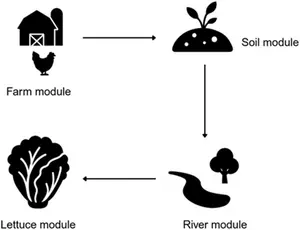 Diagram of the quantitative microbial risk assessment (QMRA) model linking the farm, soil, river, and lettuce modules.