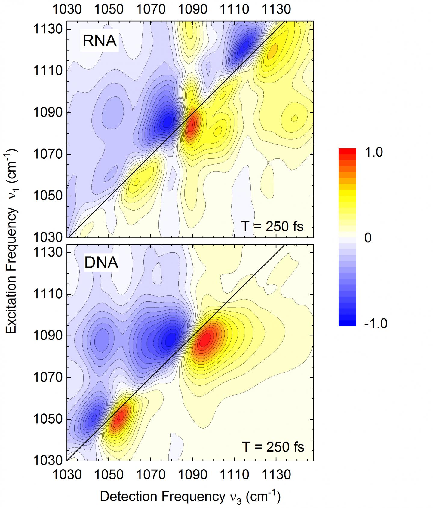 Vibrational Spectra