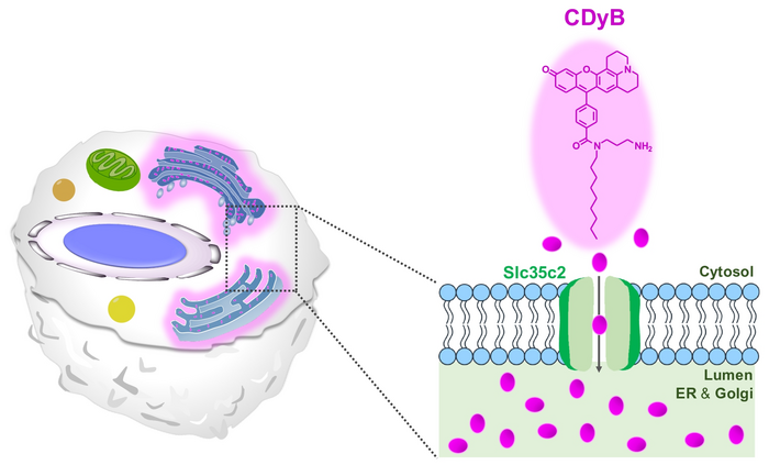 Figure 1.