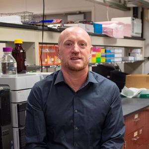 Professor Robert Doyle