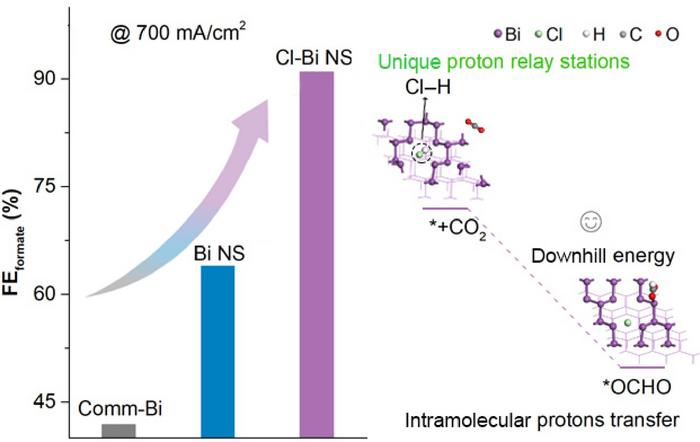 The ECR performance of bismuth-based catalysts and the illustration of unique proton relay stations.