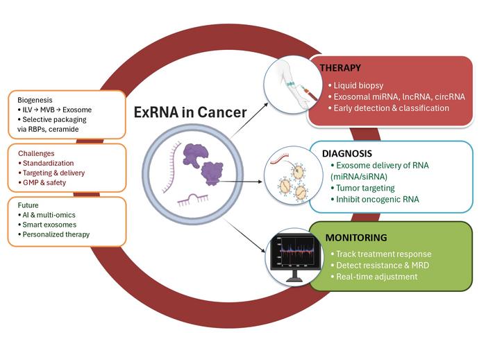 Schematic summary of exRNA roles in cancer. ExRNAs enable therapy, diagnosis, and monitoring through exosome-based delivery, with future potential in AI-guided, personalized treatments. Key challenges include standardization, targeting, and safe clinical
