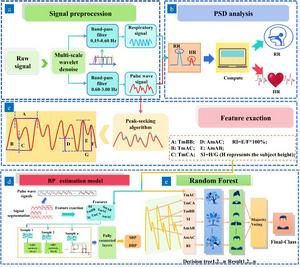 Method to extract clean and accurate pulse wave signals as well as respiratory signals