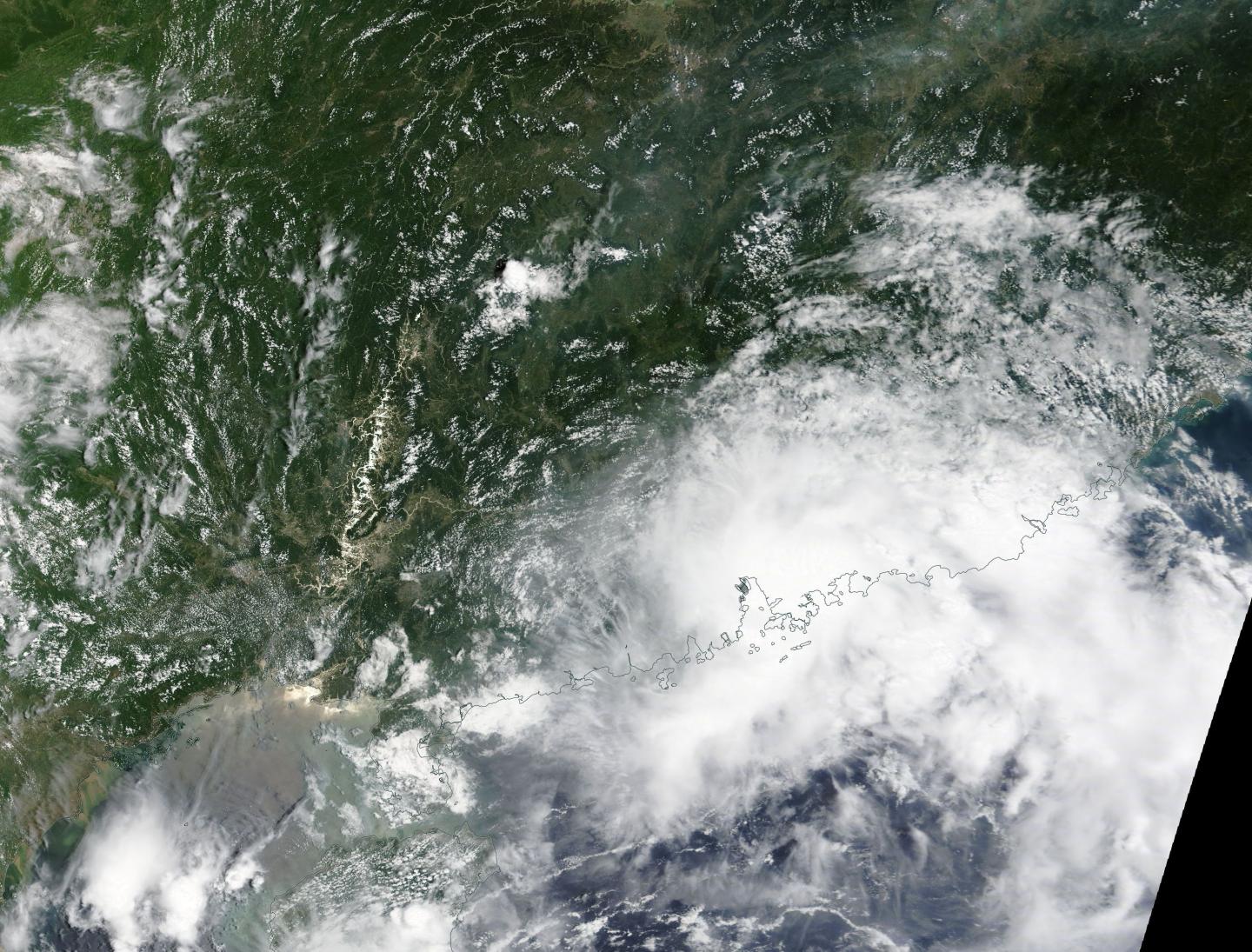 Terra Image of Roke