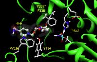 Simulations Help Unlock Regeneration of 'Aged' Enzymes
