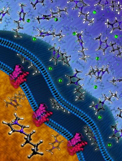 Microbial Ionic Liquid Resistance