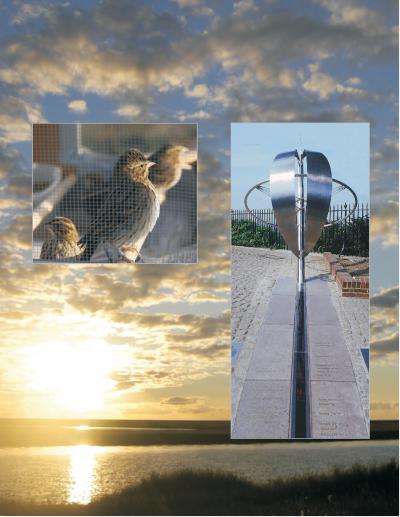 Horizon Light is Sparrows' Master Compass