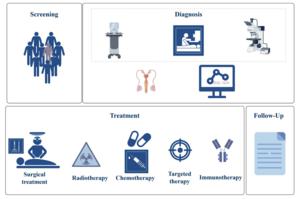 Expert Consensus on the Diagnosis and Treatment of Malignant Mesothelioma of the Tunica Vaginalis Testis