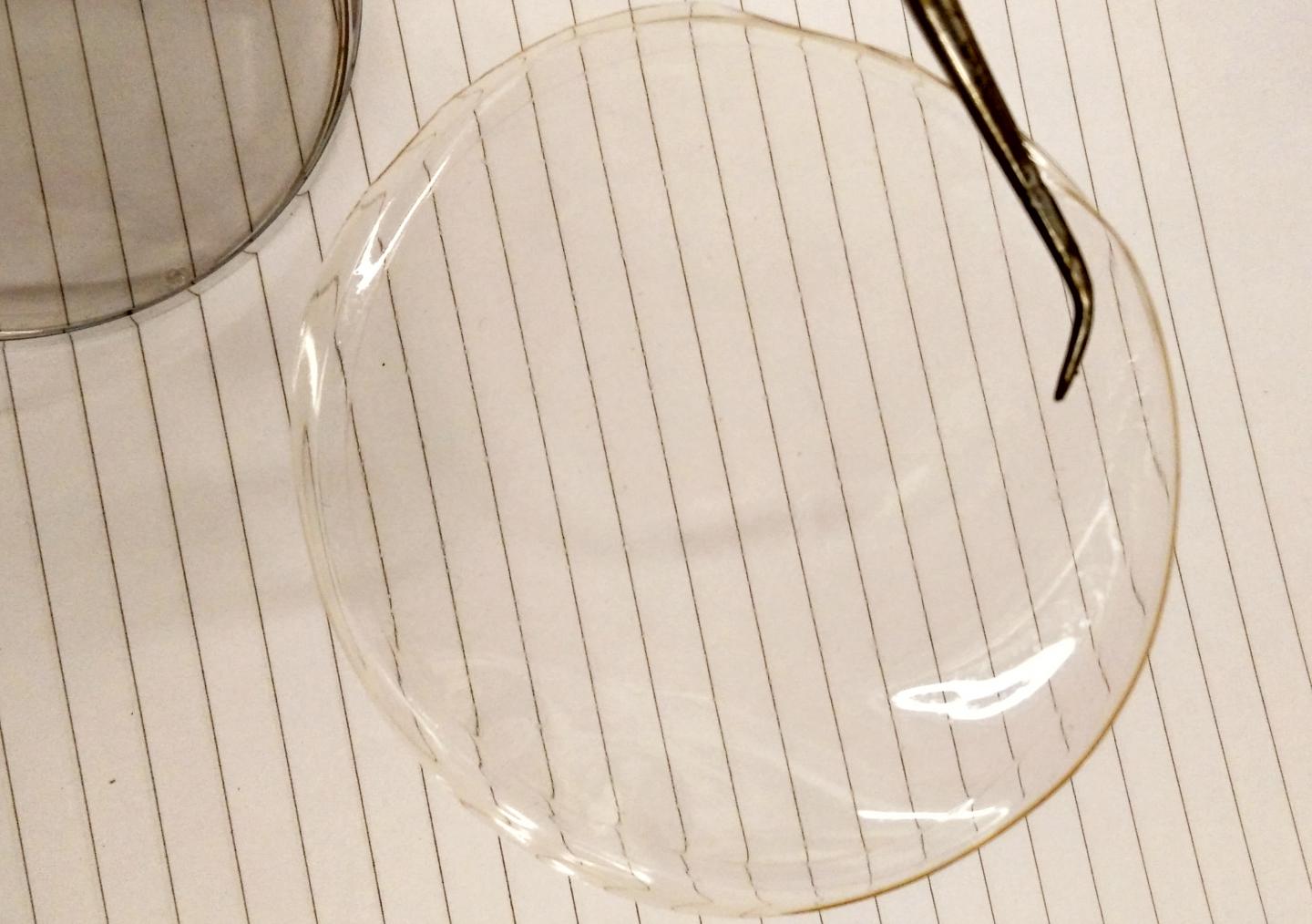 Chitosan Film Made from Lab-Grade Chitosan