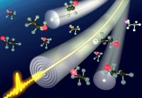 Fibers Can Identify whether They Are in Contact with a Liquid or a Solid