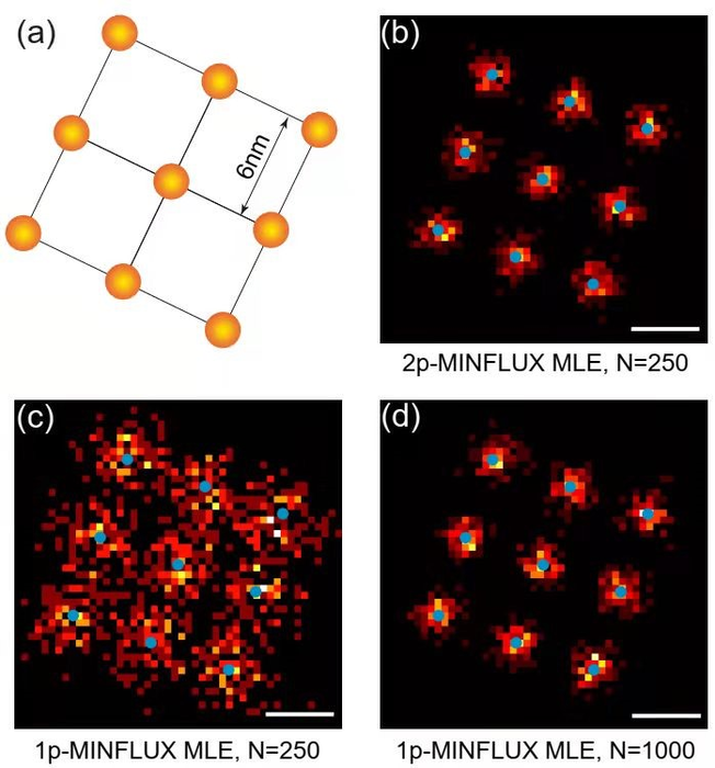 Simulation of 2p-MINFLUX with DNA origami