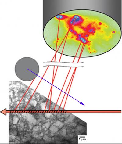 3-D Microbeam Experiment