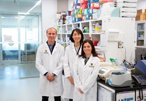International study led by UCalgary explores why multiple myeloma patients often relapse after immunotherapy