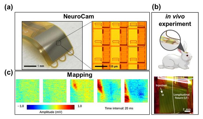Overview of NeuroCam.
