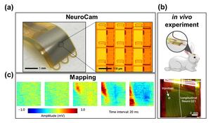 Overview of NeuroCam.