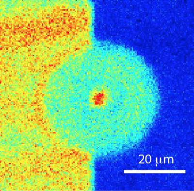 Singular Charge Patterns