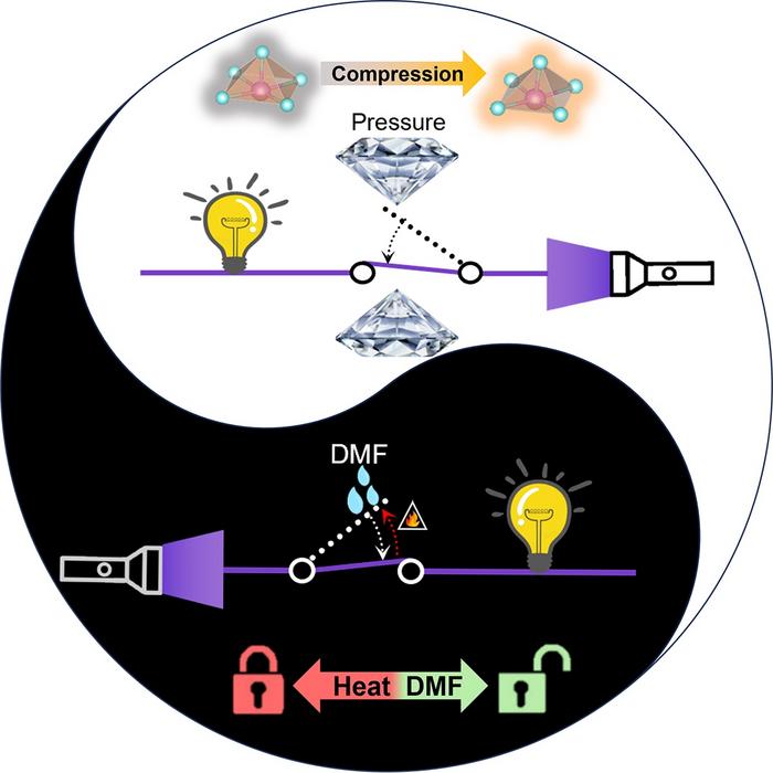 Schematic illustration