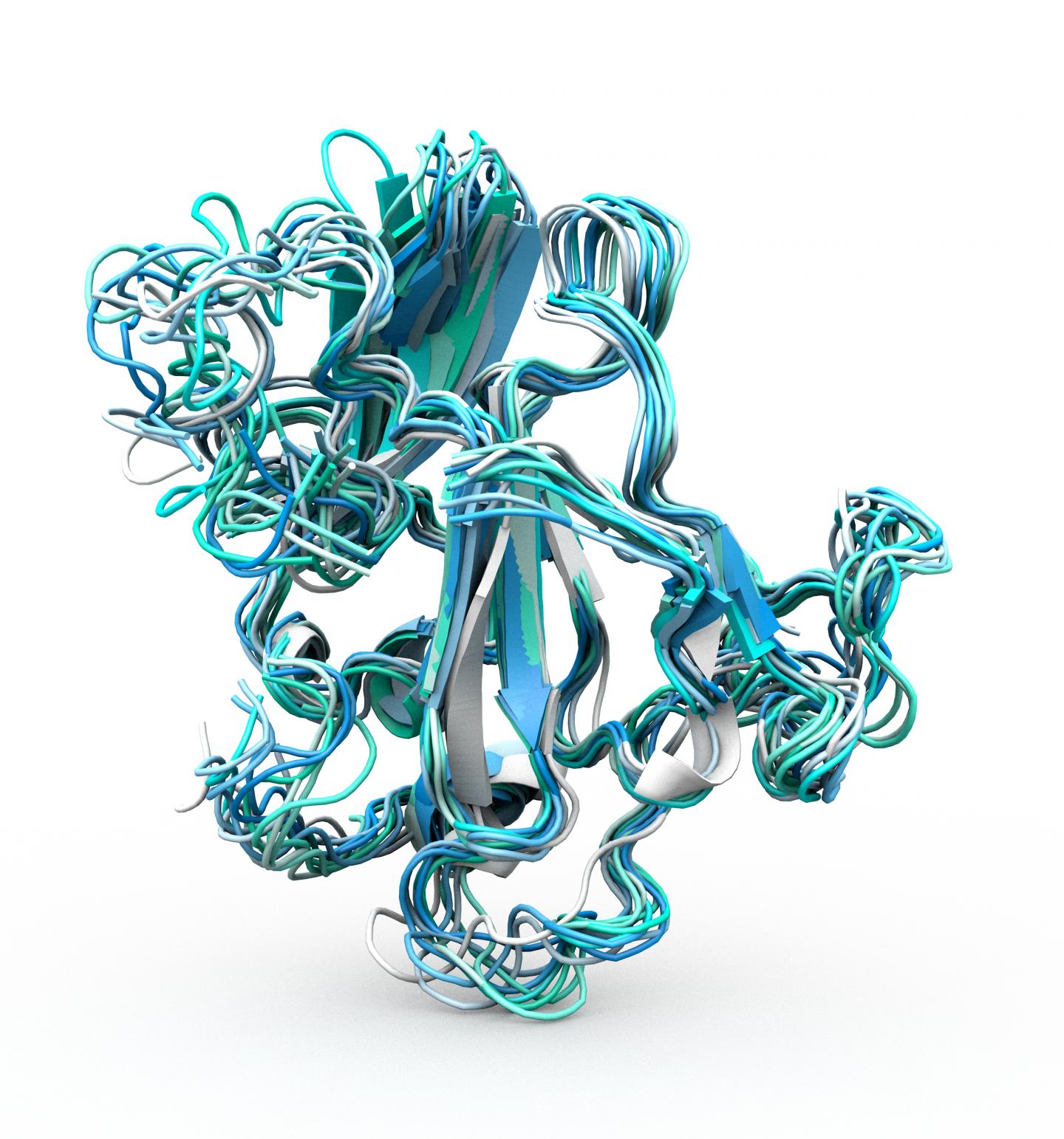 Hep C Protein