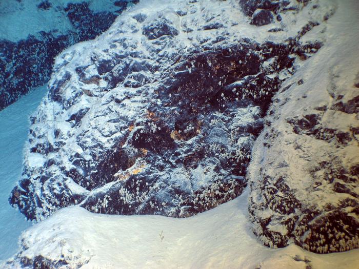 Agglutinated foraminiferans from the Scholl Deep, Kermadec Trench, 9979 m