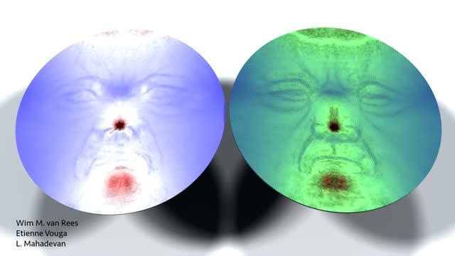 Max Planck Video