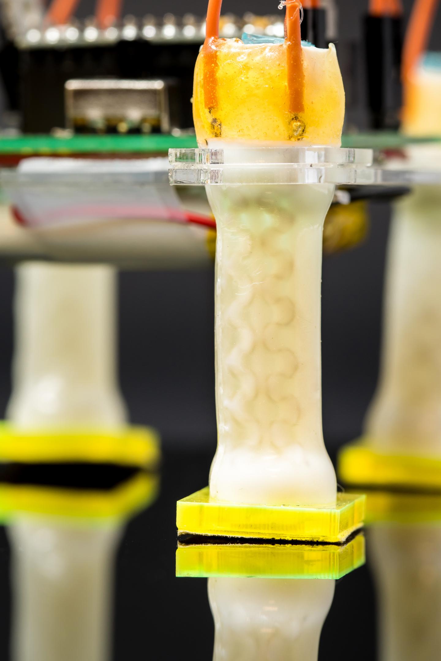 Electrically controlled liquid crystal elastomer-based soft tubular actuator with multimodal actuation (2 of 3)