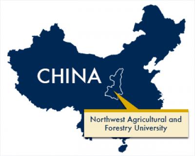 Map of China