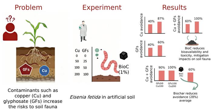 Mitigating the effects of copper and commercial glyphosate formulations with biochar: insights from Eisenia fetida avoidance assays