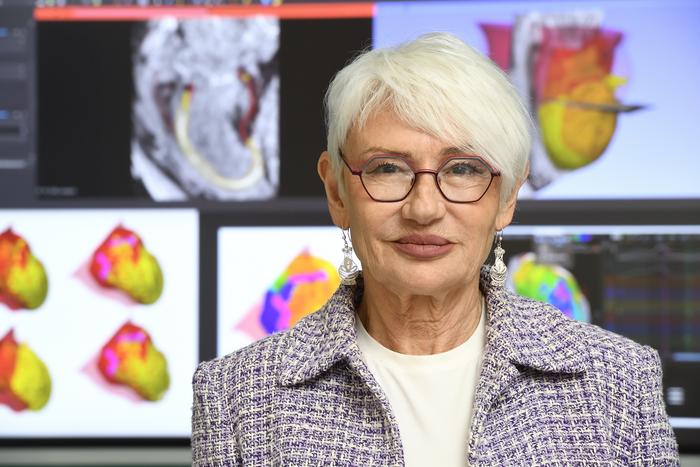 Cardiac digital twin creator in front of twin images