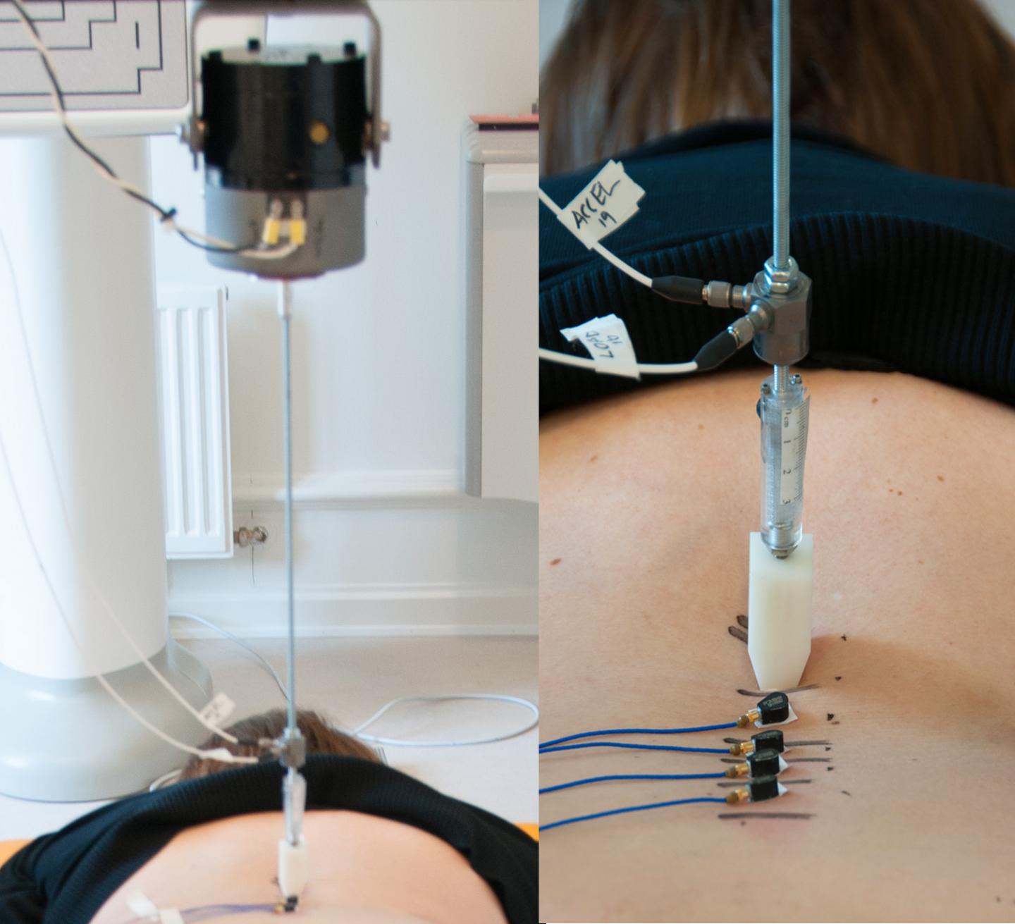Spinal Vibration